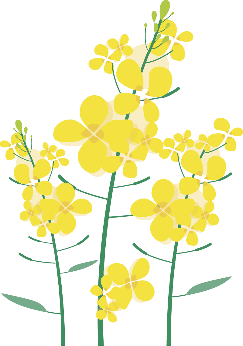 143723u7n3t2z8n8599zx3.png