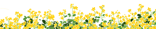 143923ykadk8mbm6bbk9ht.png