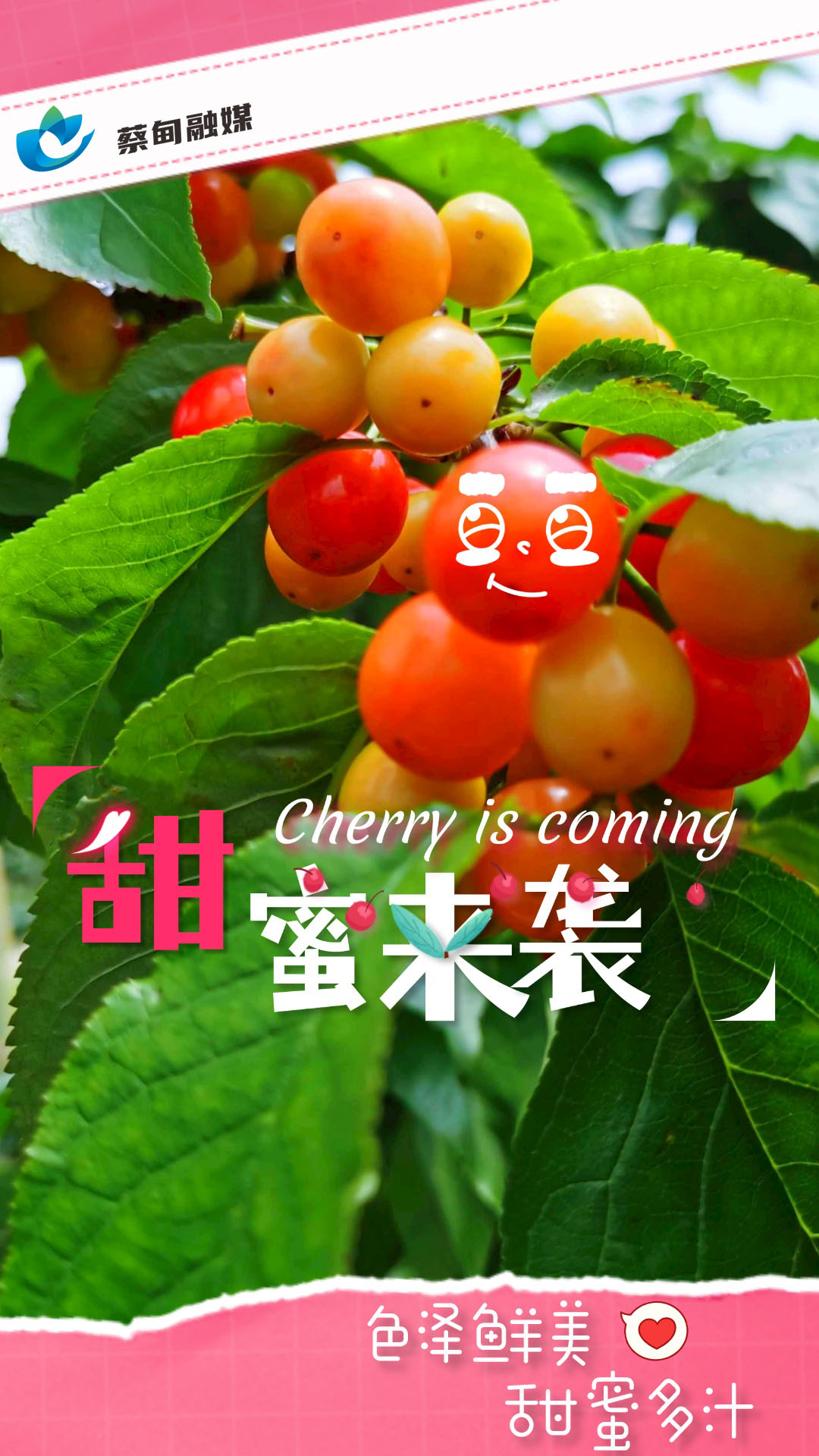 微信图片_20230423142018.jpg