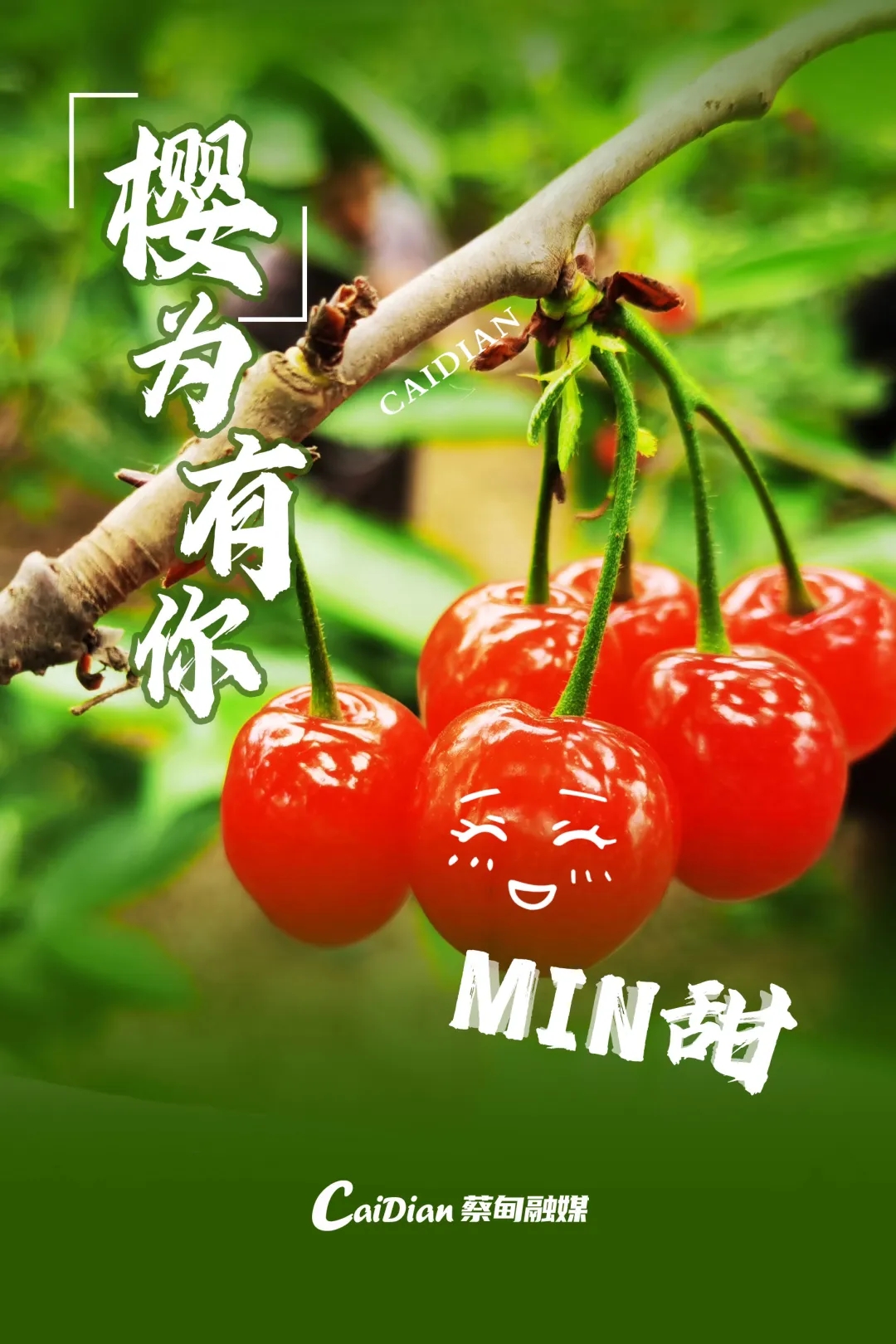 e0ae9dba927a2d61fb603a2d1500fc34-sz_547996.webp.jpg