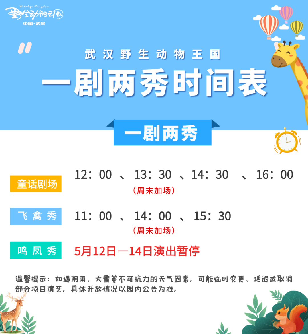 192725qms7ns2k77mh9qk5.png
