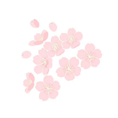 101647uudn9d0t5wtdfwt4.png