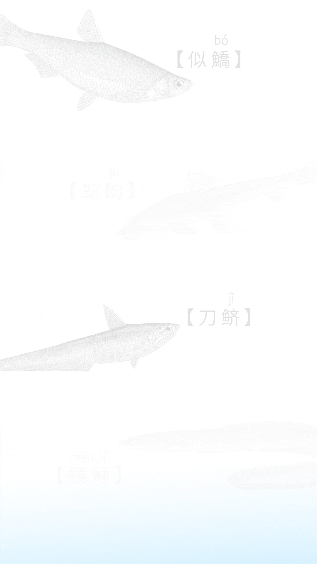 111331nhn8nss4h3xhxwjs.gif
