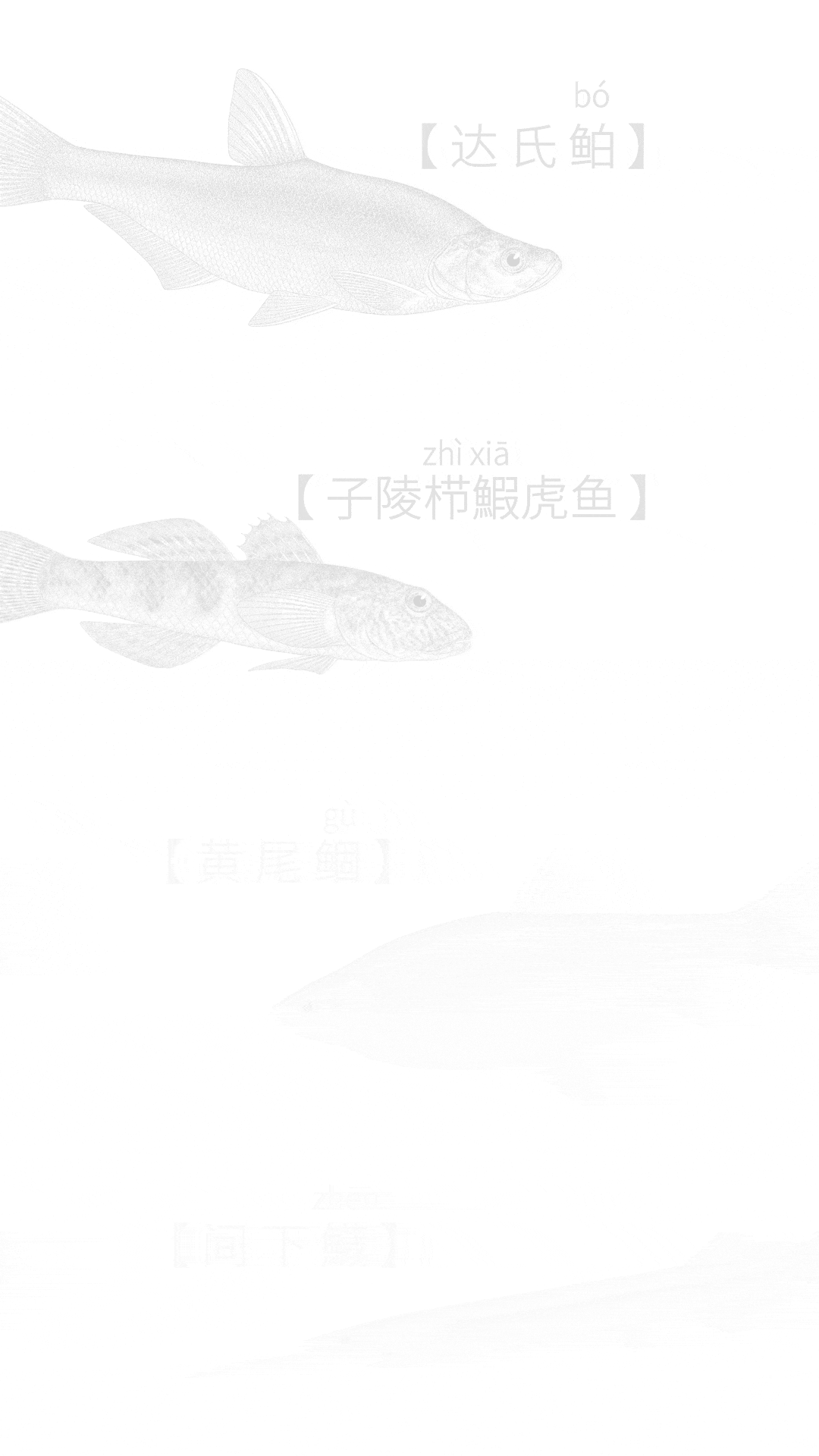 111331t77sw9l00dccss0l.gif