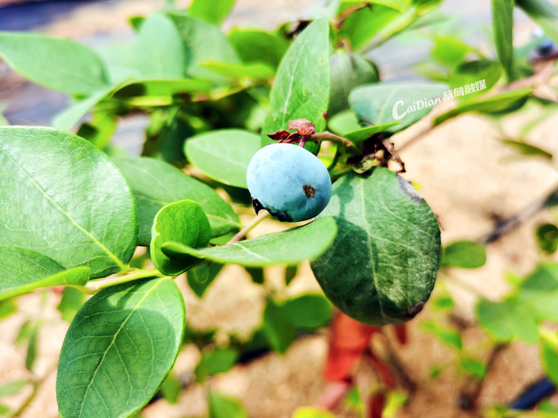 151539xhjzpep62mh6zejz.jpg