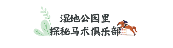 092838ylv5k46x76sr4ppn.png
