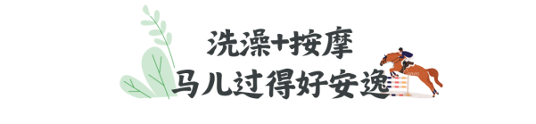 092839behbggef7z7g22k0.png