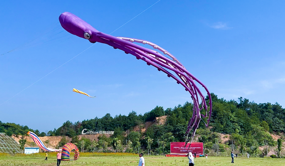 155144pqel6i98cc8yq9wt.jpg