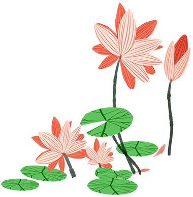 224808y9664j6k4f659kx9.png