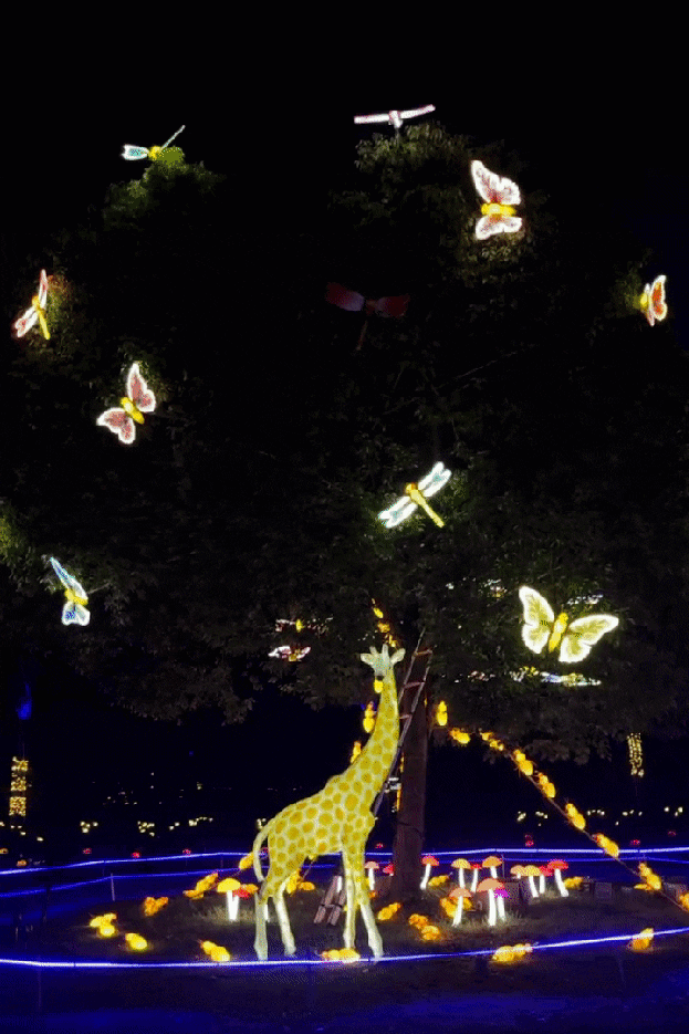 130006pixghwx0tir0xi8t.gif
