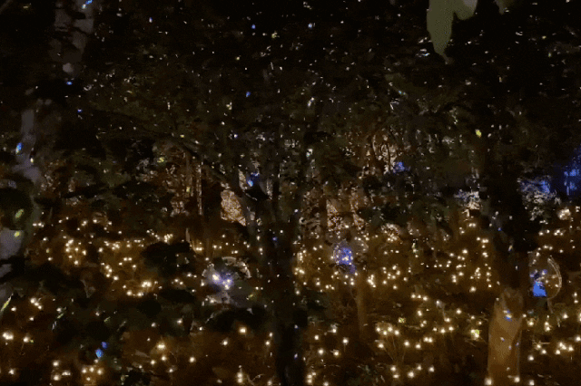130007uq9a3r4s6ltrrauw.gif