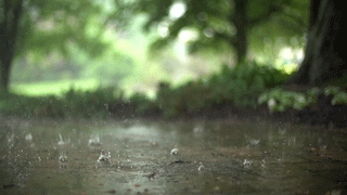 124524jsztzjl7jqx3vdav.gif