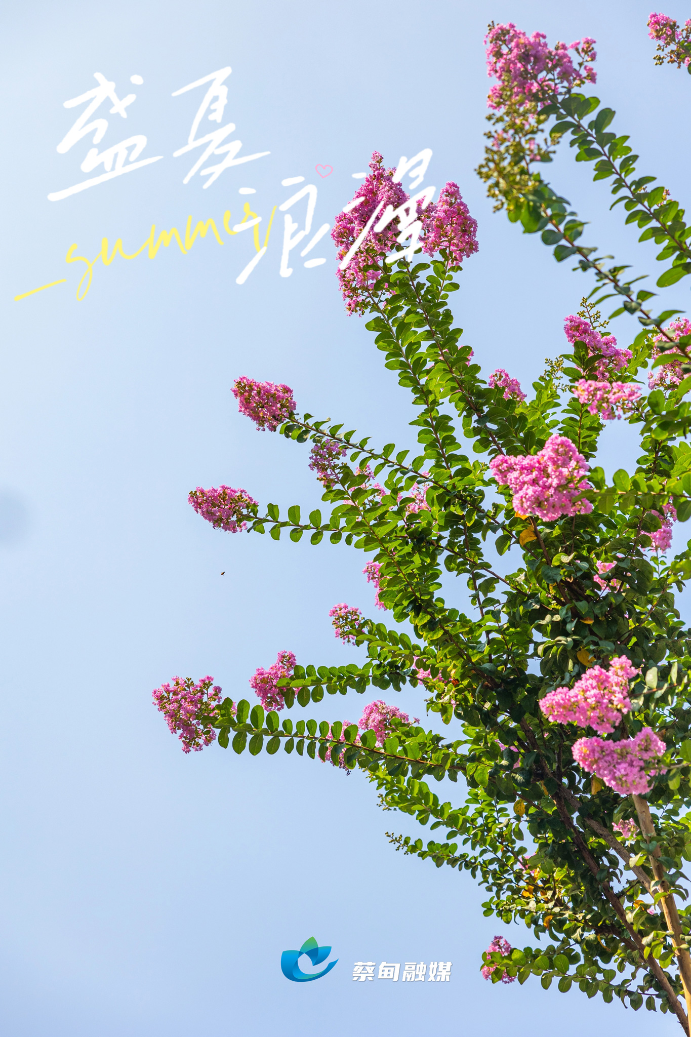120414wyhrwrpqjqwgttg0.jpg