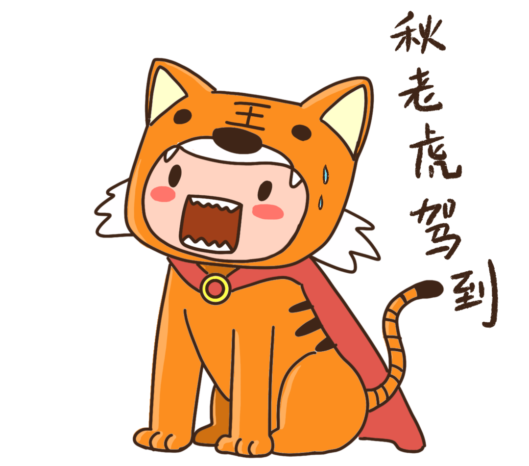 162353sctee2aa20f0fpez.png