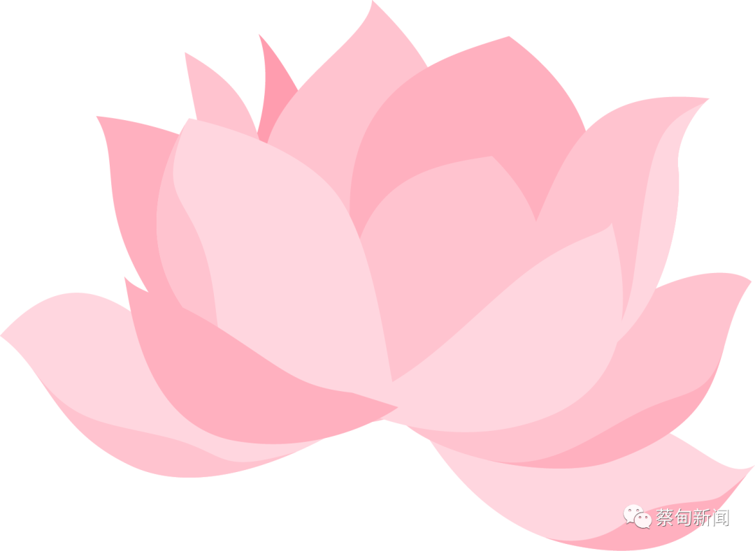 154146ivk8pd55up5mnzc2.png