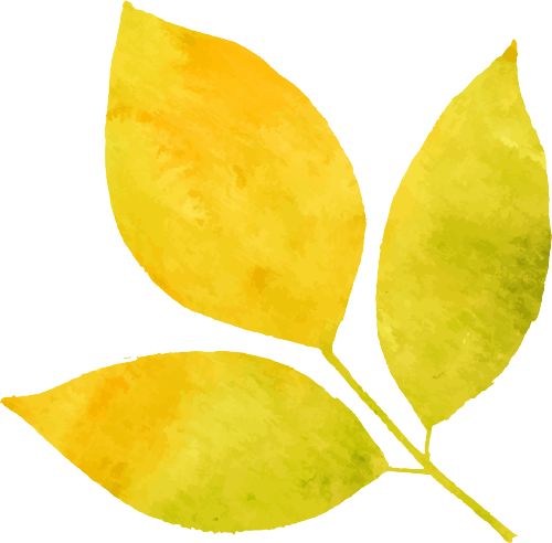 152301qu4kdepknkhhkp8j.png