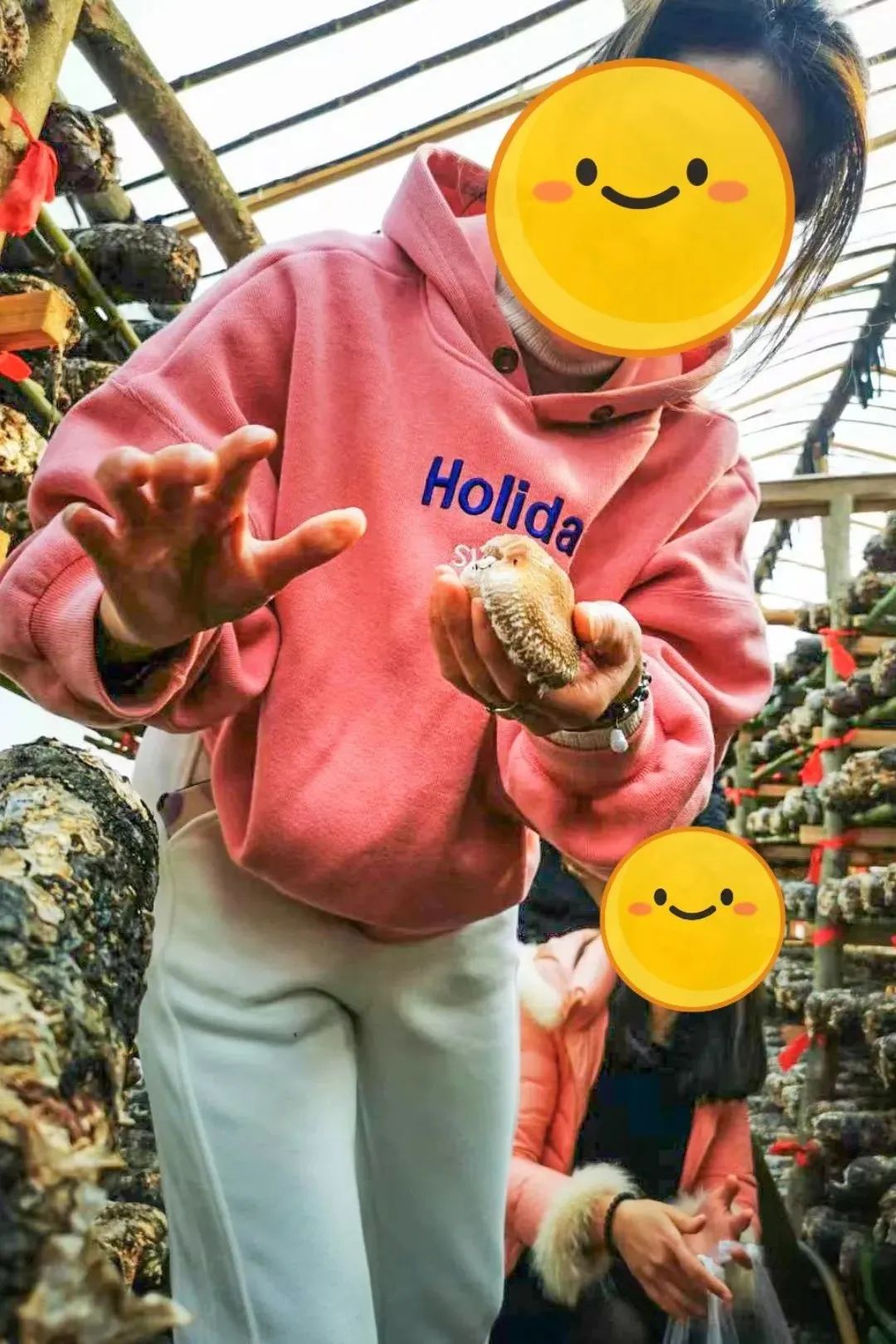 170622bazgfcc8zzcsfcmh.jpeg