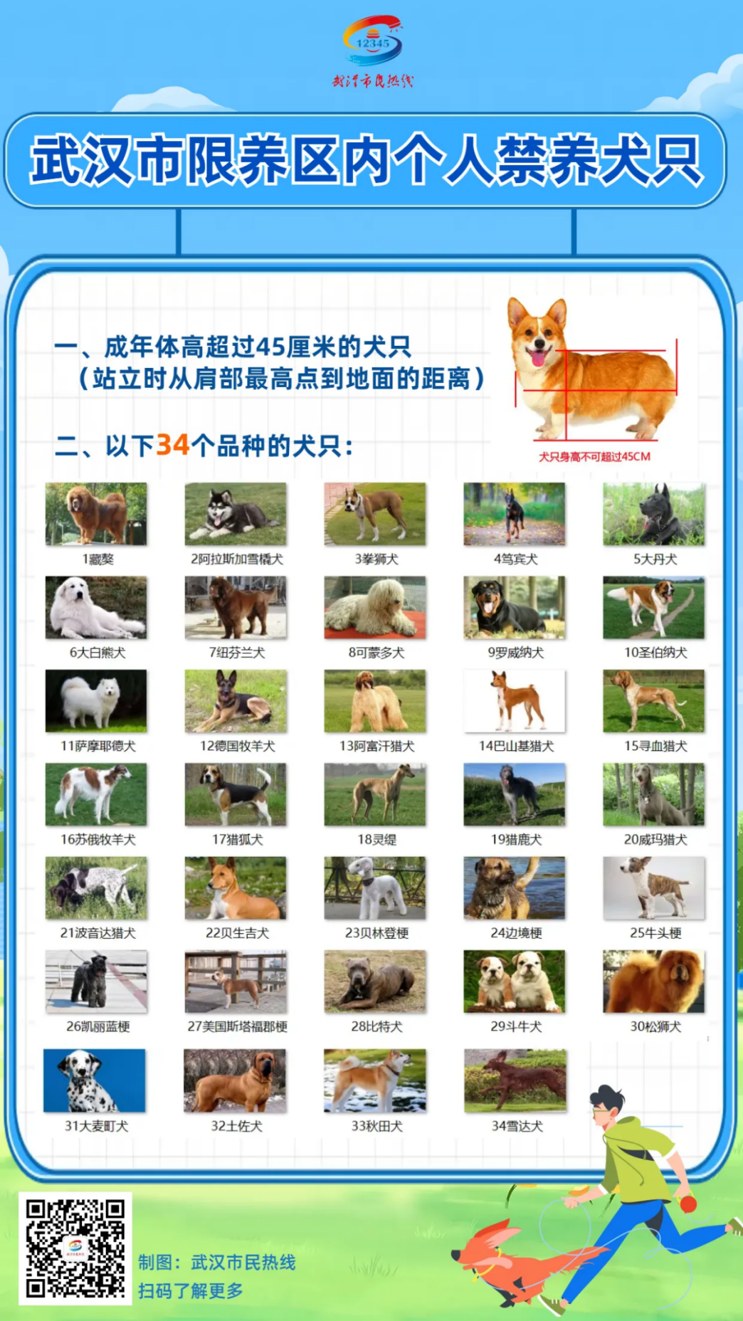 121111iakkv63o835plbbq.png
