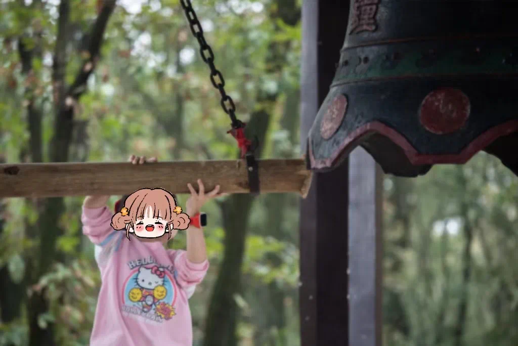 155636mqr6h86zmwzqhzwc.png