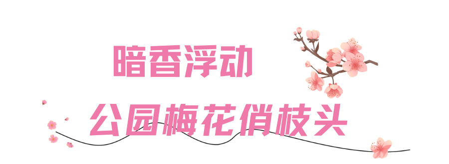 183954g005s355e40gem91.png