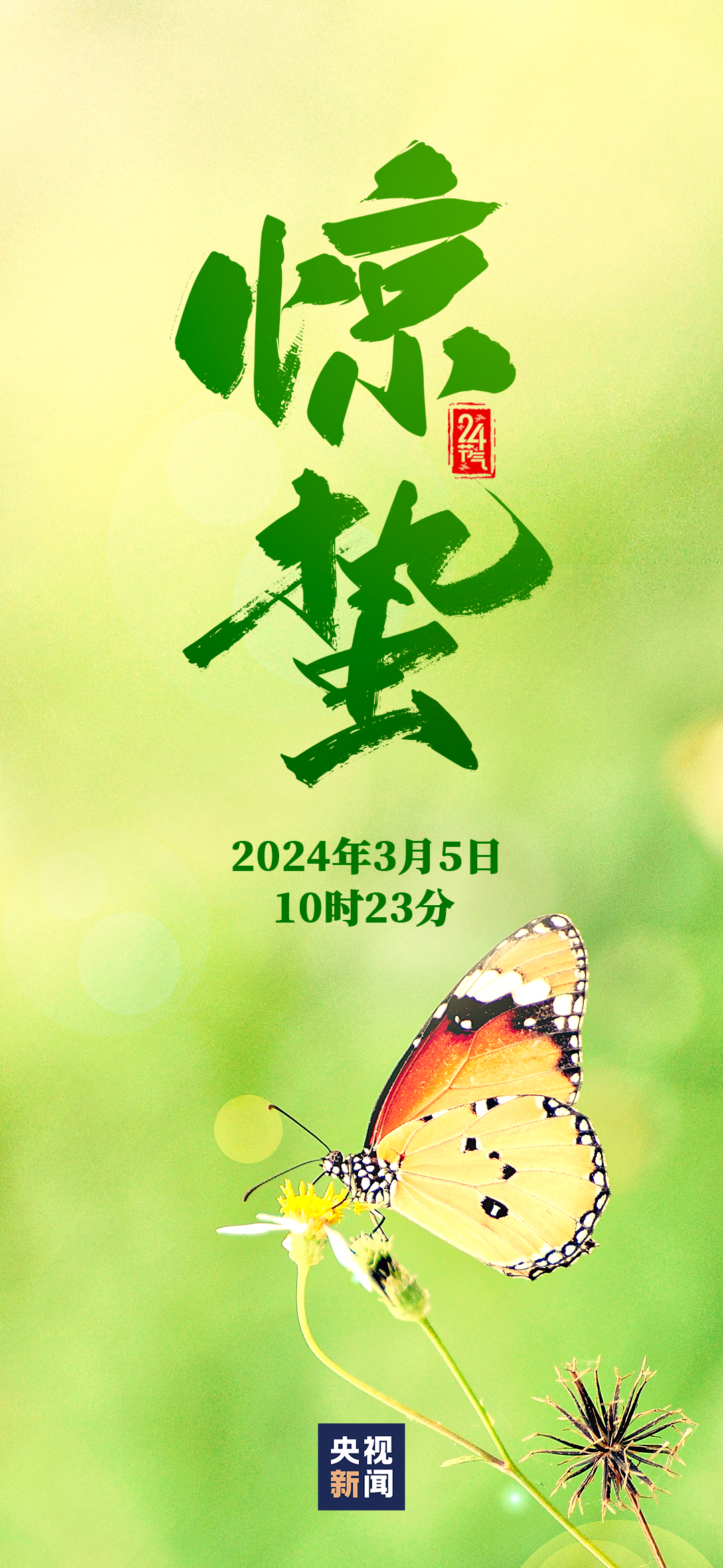 090139fnsqsan54nca6qqh.png