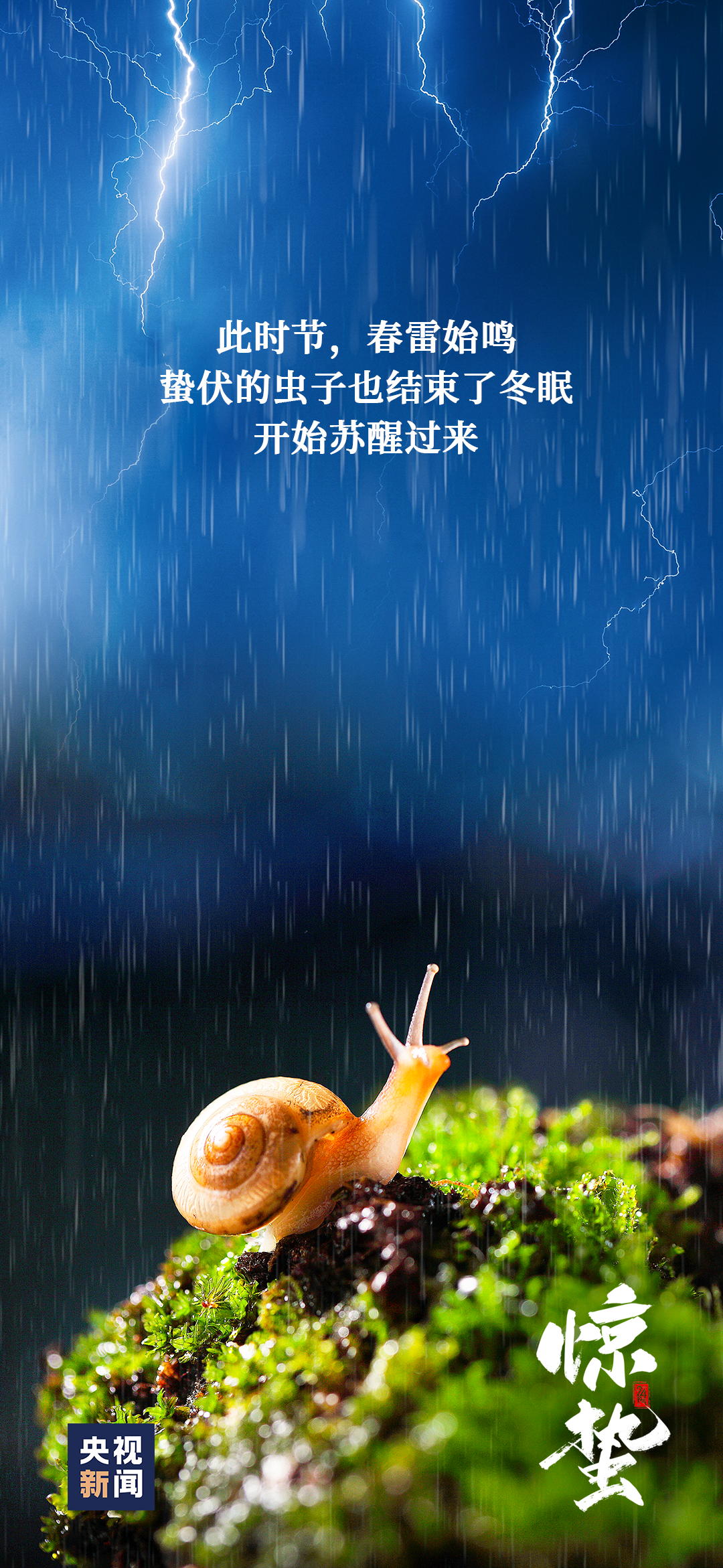 090139xpuojro7wmoilojl.png