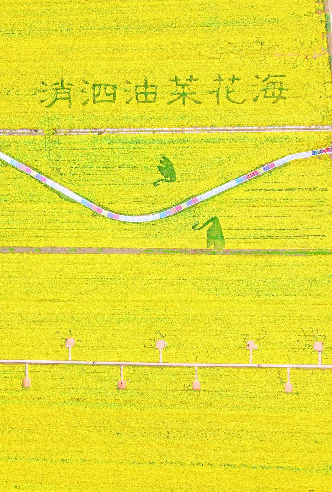144528gjjju64hkc04djs6.jpeg