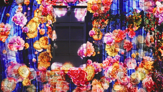 163527qjq7flm0mmlf1111.gif