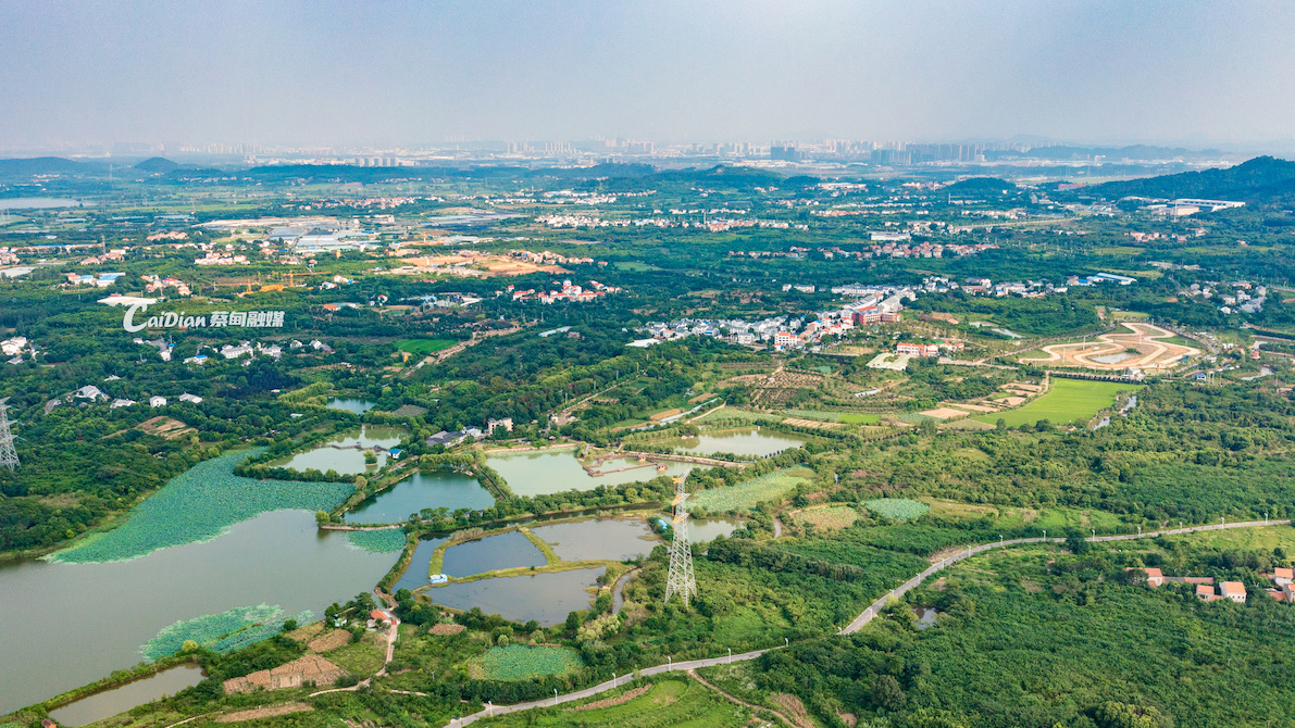 蔡甸农力村打造优美环境绘就和美画卷