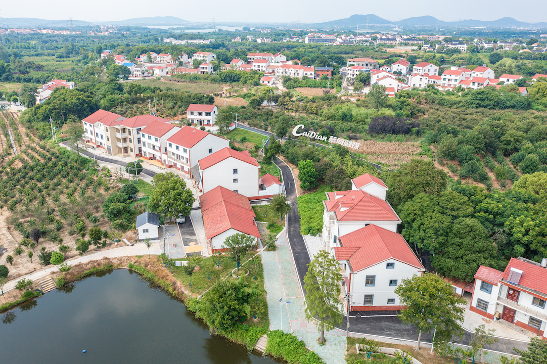 蔡甸农力村打造优美环境绘就和美画卷