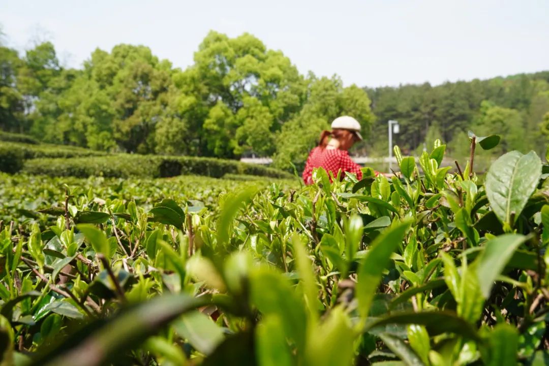 201204rrmkv8v1v1qkr8c3.jpeg