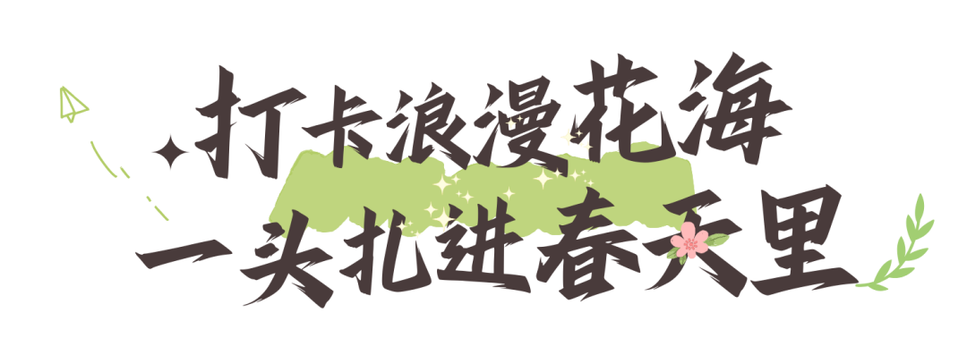 114037d1z9r9hhz9z12jjv.png