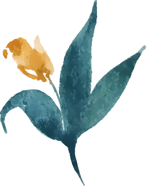 105448coxceurzt3e4sskx.png