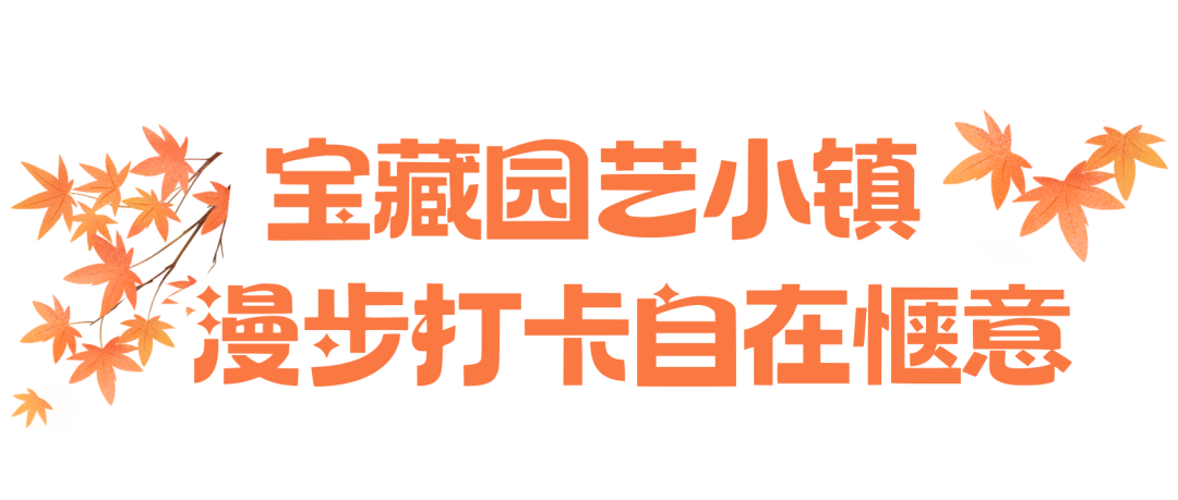124735oj2brbbwo8wxnxbr.png
