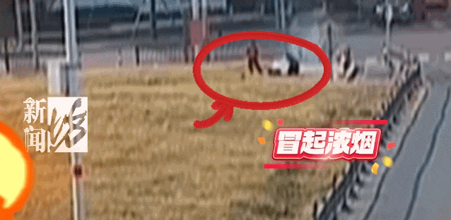 212819r3pj46azyq54zaxa.gif