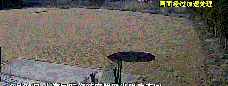 212819s0mz4n2v6ee0ansg.gif