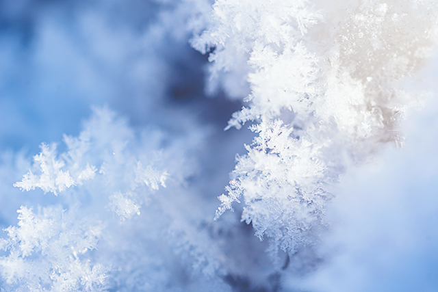 千库网_雪花形状冰晶白色积雪摄影图_摄影图编号98963 拷贝.jpg