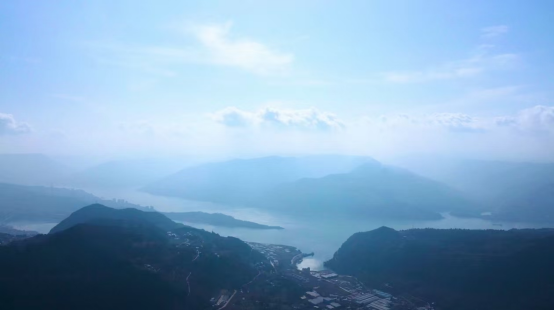 174023akq7rzlreenqkzoo.png