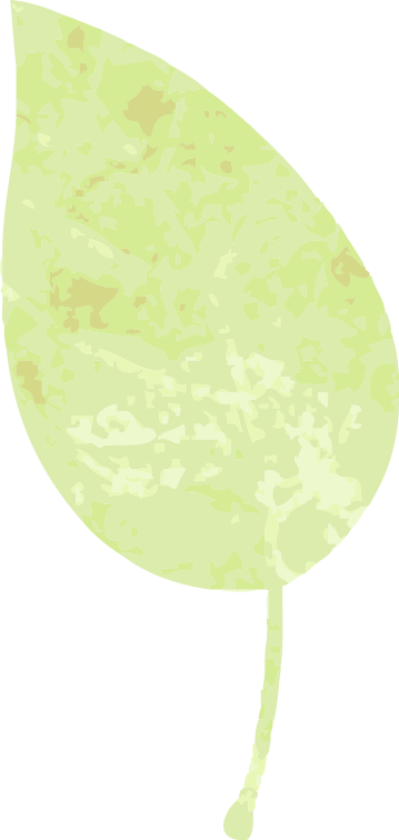 131537cyb66t16oe67ri7i.png