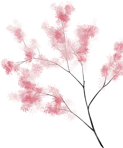 161854xejsvkdv0vus33lj.png