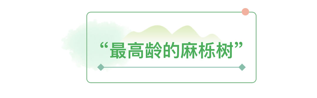 b61d06e0-3413-4c4f-8cda-bd2296af24f3-1.jpg