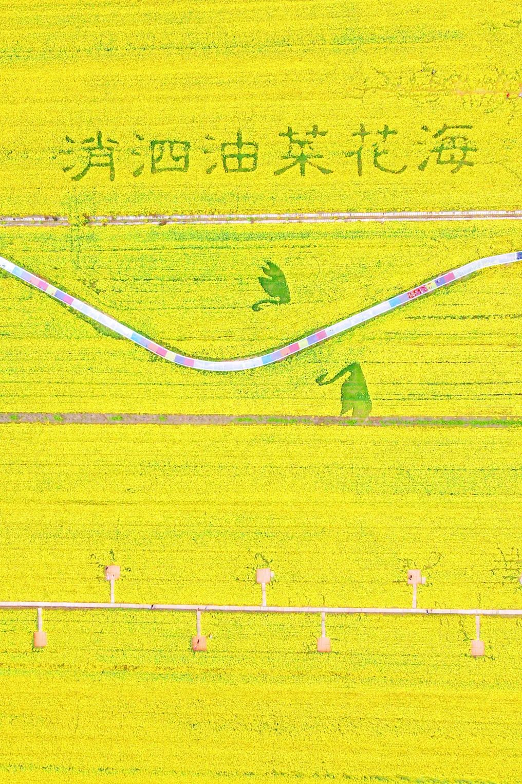 193042iwkgfkh06gfksk31.jpeg