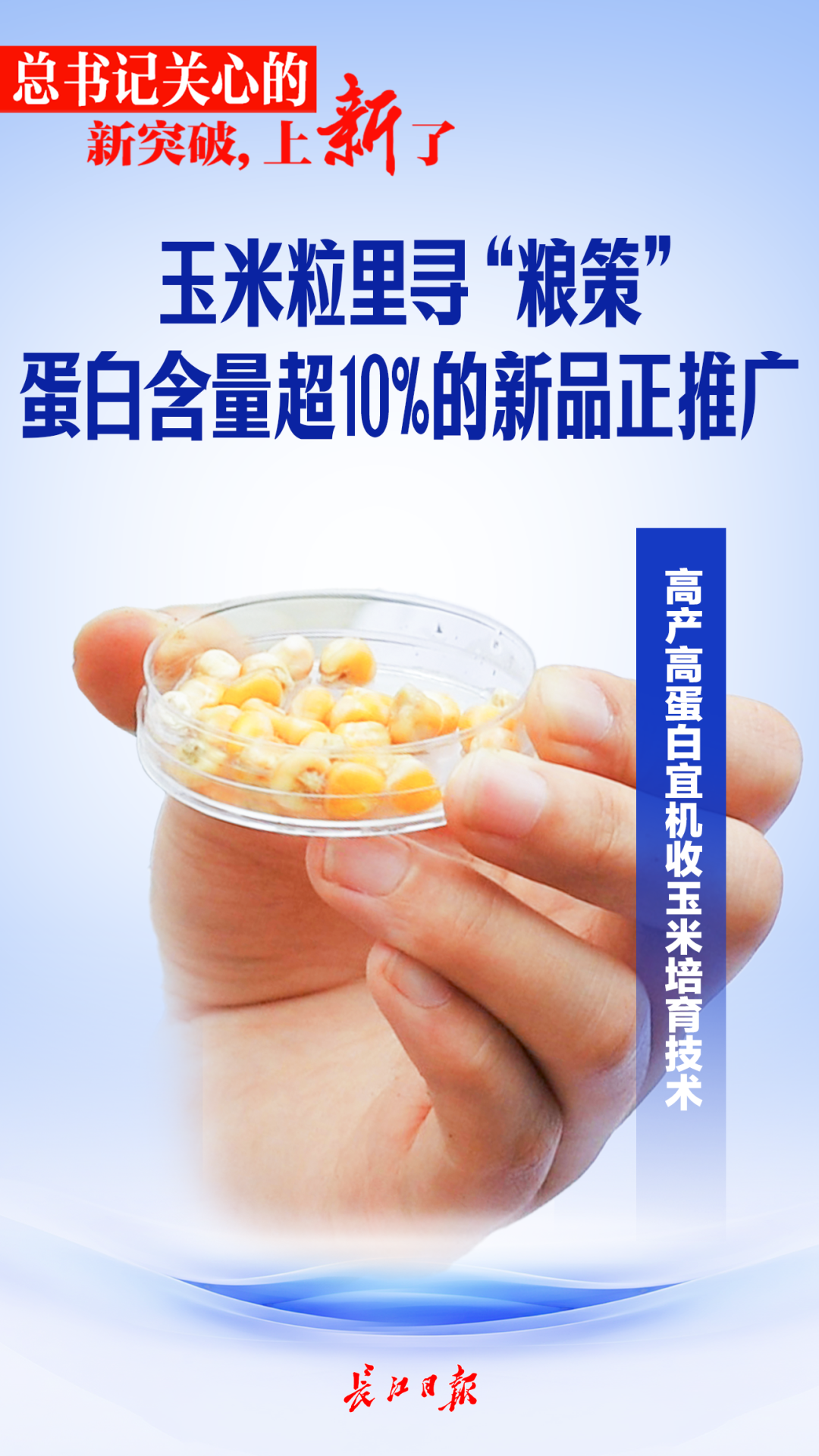 173045jtkibza6tmbpicbt.png