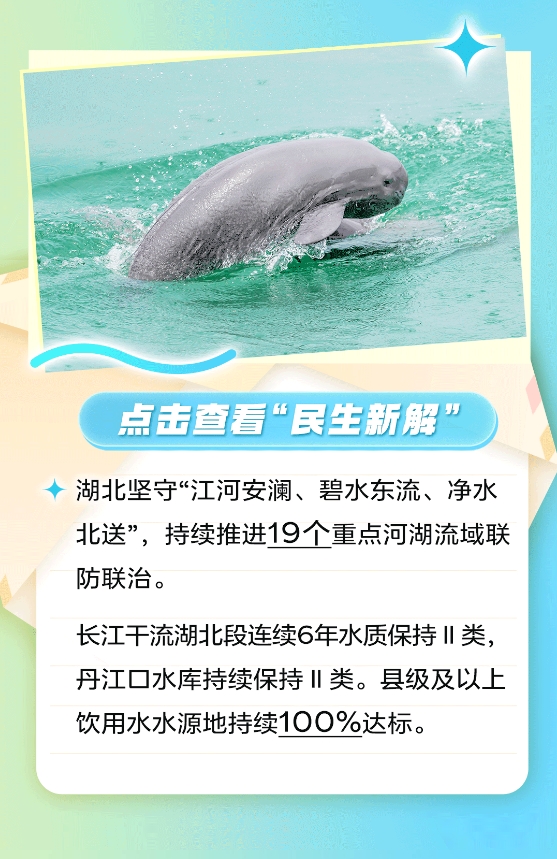 180809vaw084vv8kuqzk8u.jpg