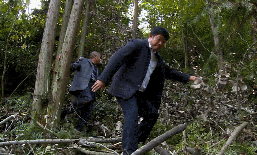 203106e202jeeljel663ie.gif