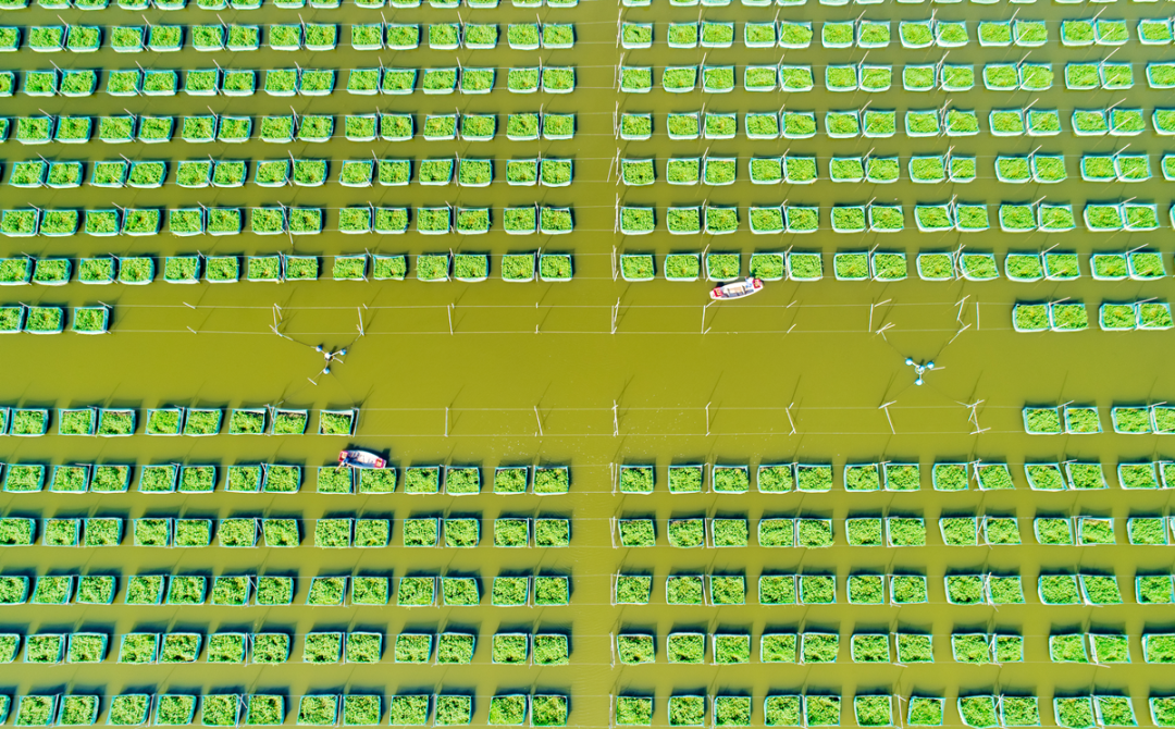203447o2y09v0lduwlyrr2.png