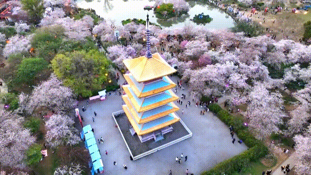 122148dkj2q621j4166aa4.gif
