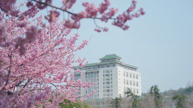 122148rtziqttddqqhqttg.gif