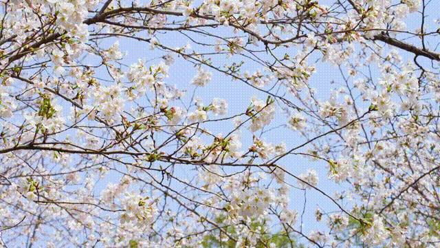 122149n6wjek0jls20sjke.gif