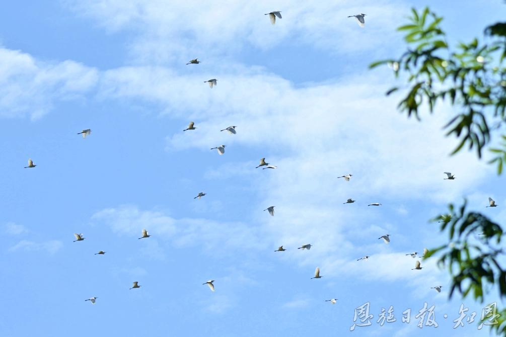170653zifc0cffcfc205pu.jpg